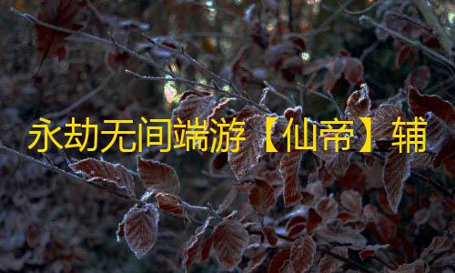 永劫无间端游【仙帝】辅助