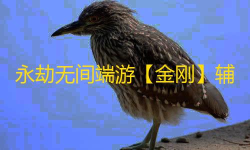 永劫无间端游【金刚】辅助