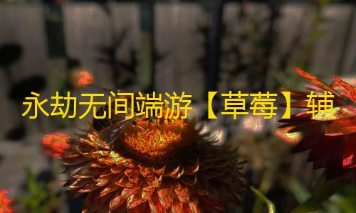 永劫无间端游【草莓】辅助