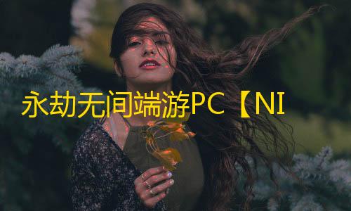 永劫无间端游PC【NIP】外挂