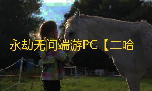 永劫无间端游PC【二哈BT】外挂